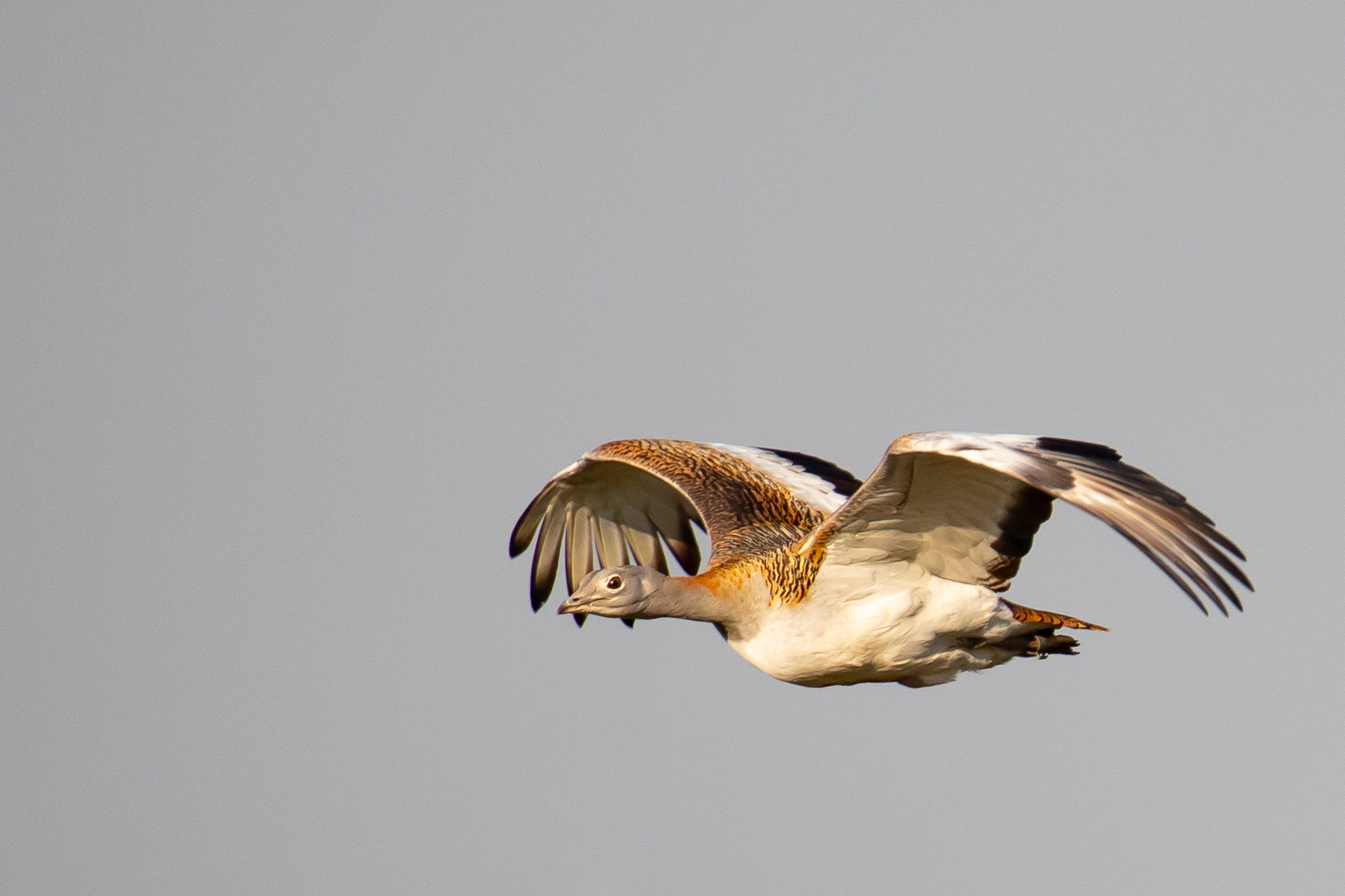 Foto: Johannes Müller