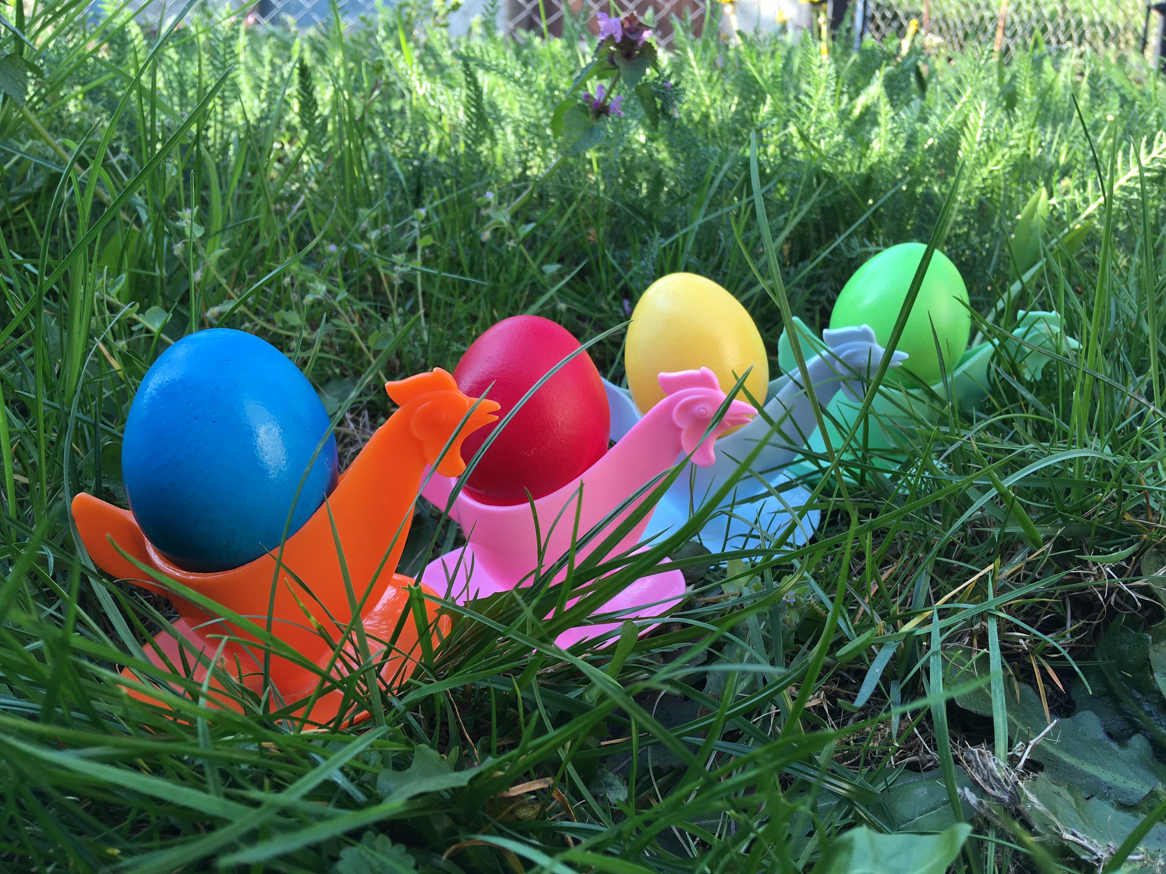 Foto: SG, Lizenz: TVF