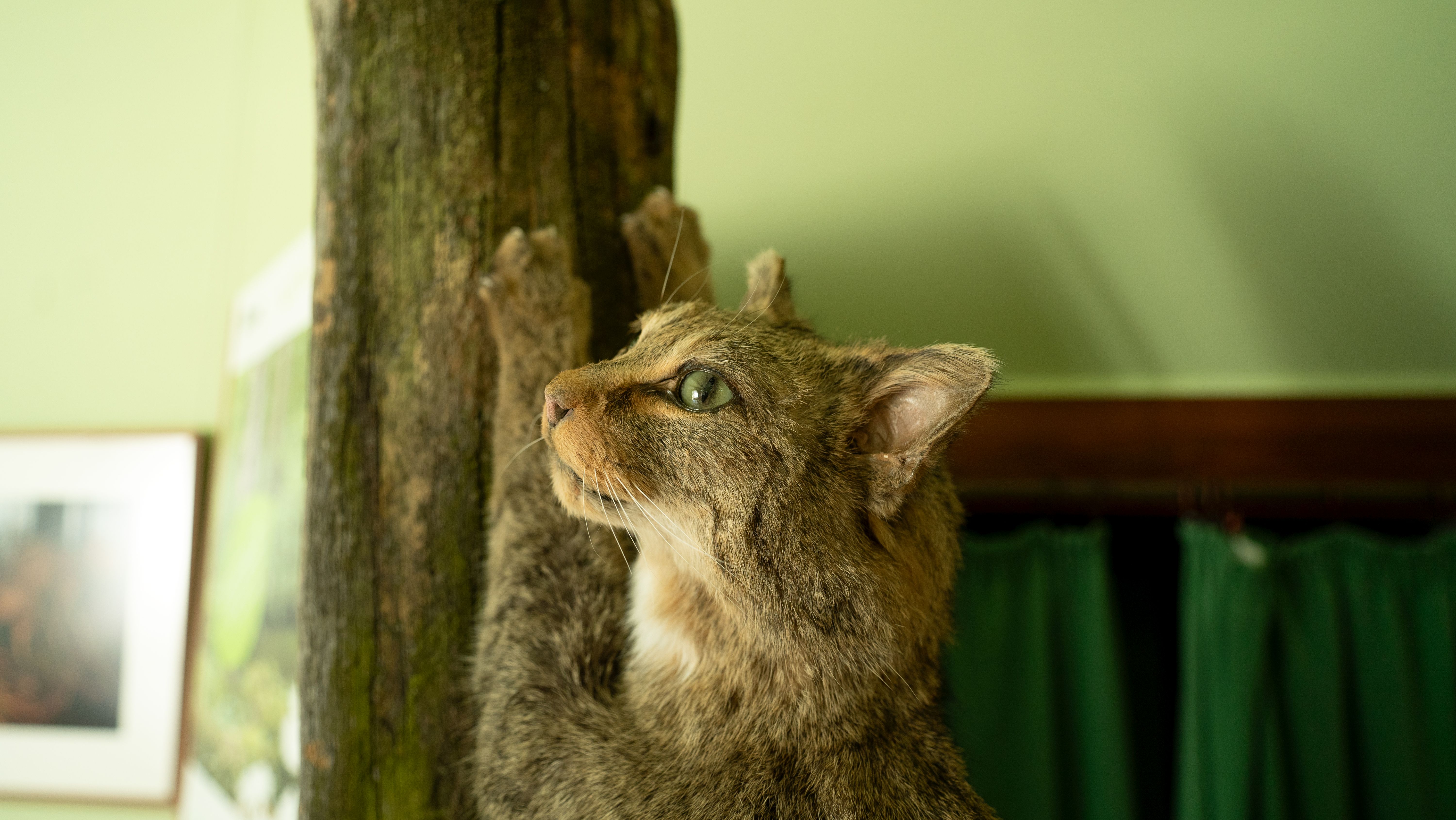 Foto: Julia Borchardt/vivografie.de, Lizenz: Naturparkverein Hoher Fläming e.V.