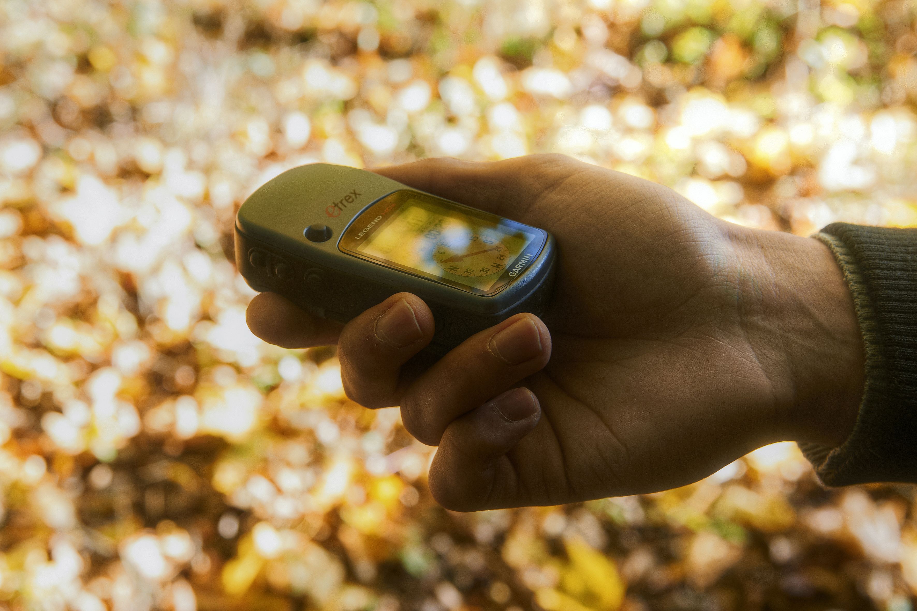 Foto: Juergen Rocholl/FACE, Lizenz: Naturparkverein Hoher Fläming e.V.