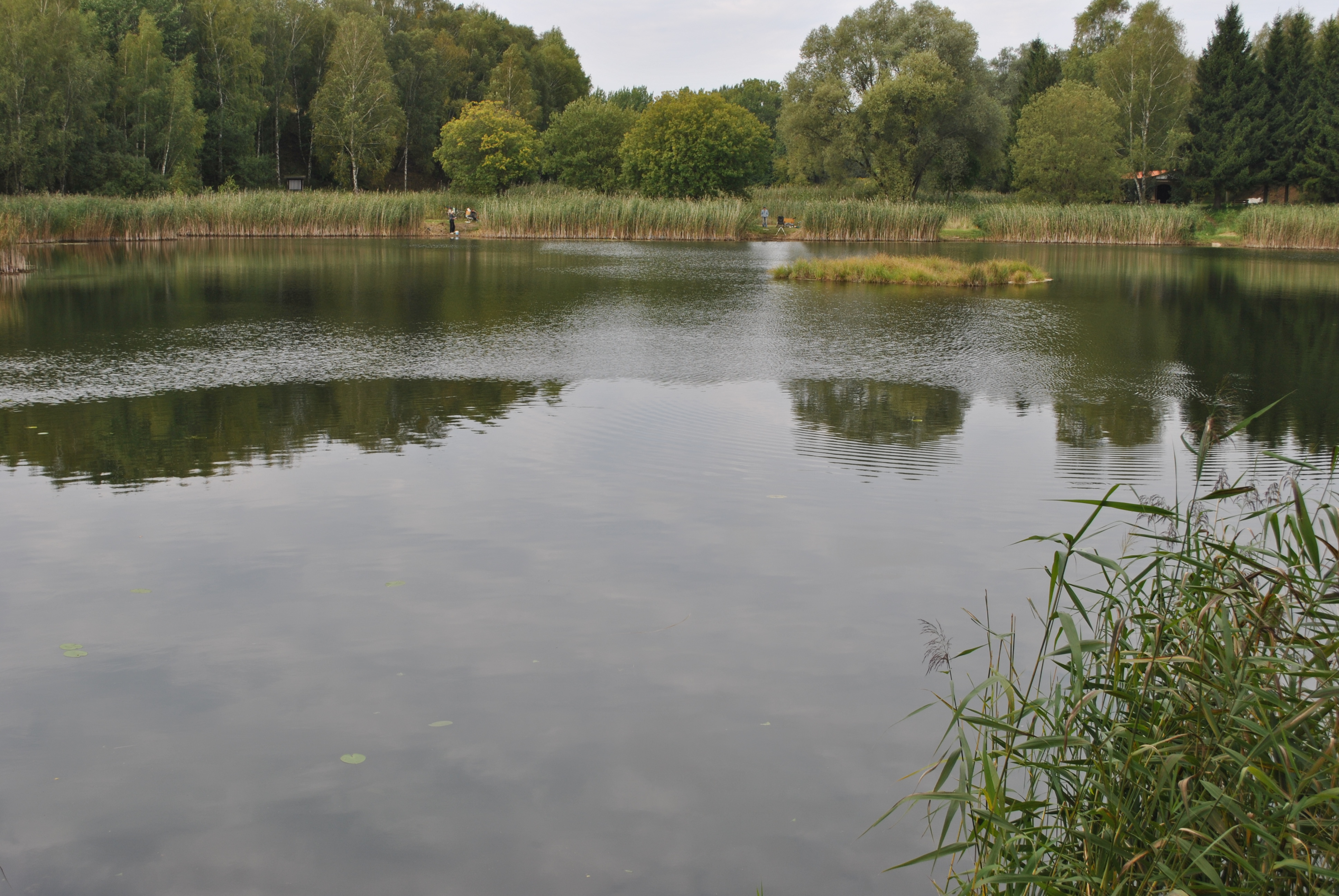 Foto: Anke Braune, Lizenz: Naturparkverwaltung Hoher Fläming