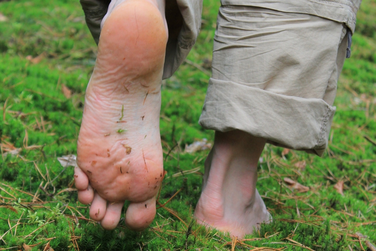 Foto: Bansen/Wittig, Lizenz: Bansen/Wittig