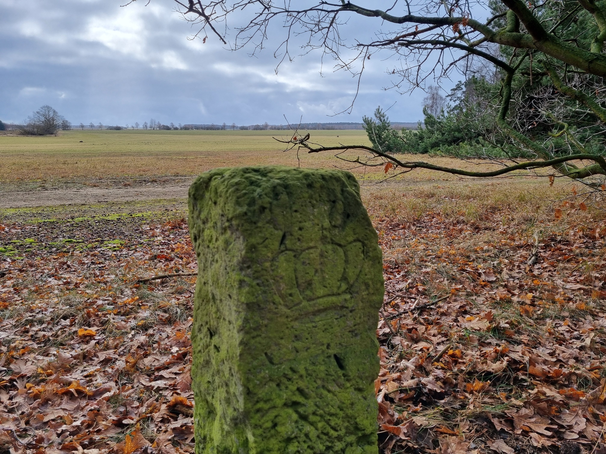 Foto: Anke Braune, Lizenz: Naturparkverwaltung Hoher Fläming