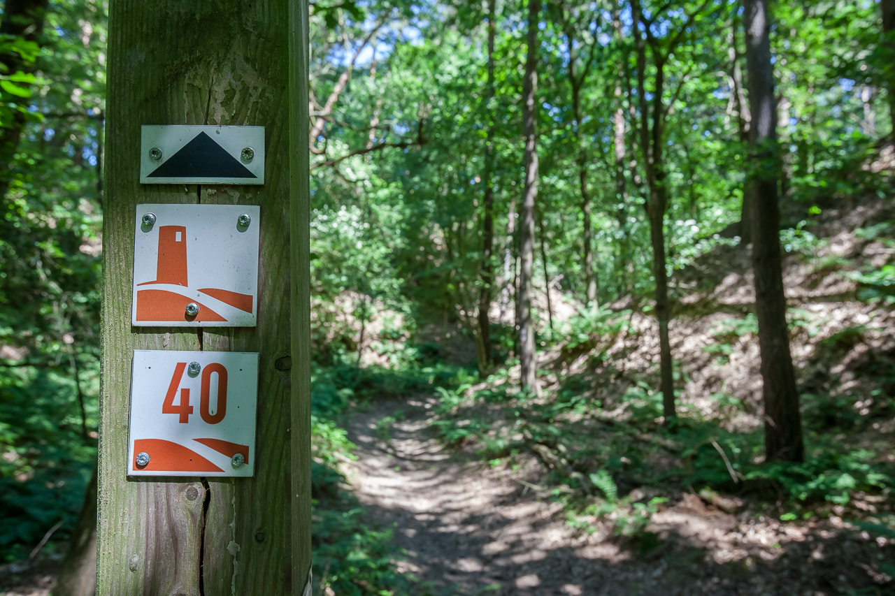Foto: Jedrzej Marzecki , Lizenz: Tourismusverband Fläming e.V.