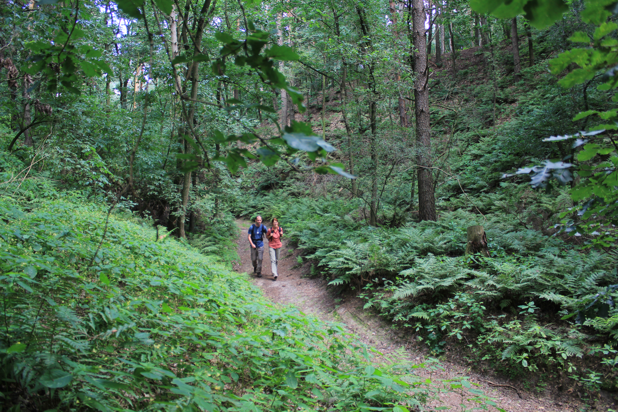 Foto: Bansen/Wittig, Lizenz: Bansen/Wittig