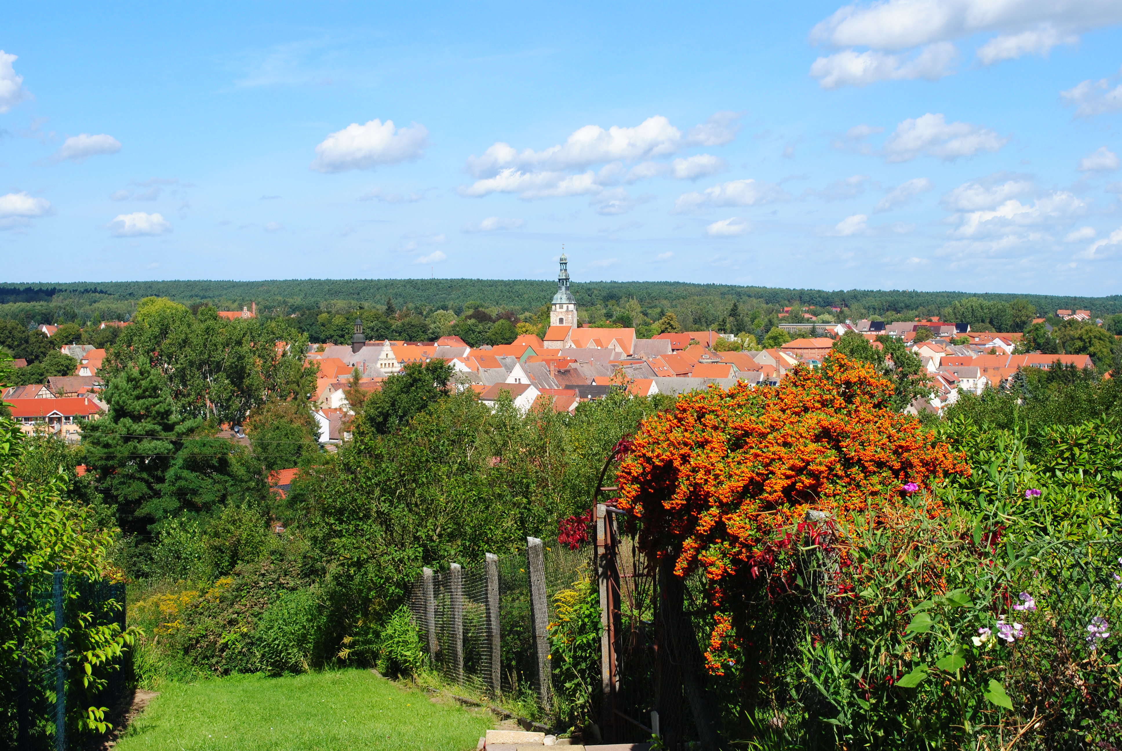 Foto: Anke Braune, Lizenz: Landesamt für Umwelt Brandenburg