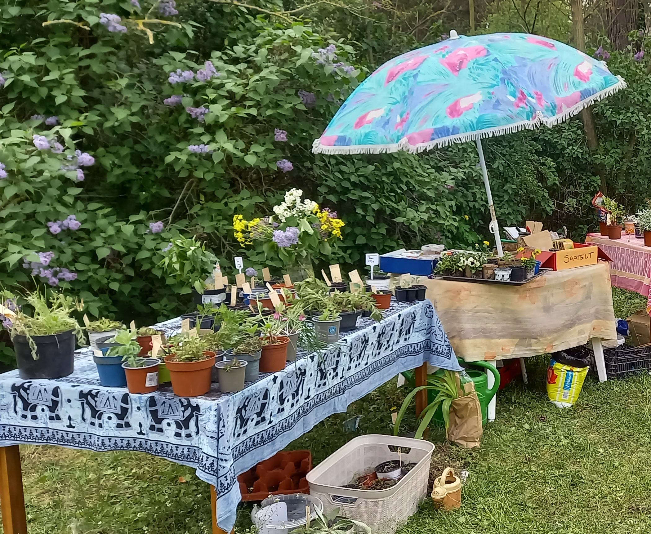 Foto: Jasmin Oldag, Lizenz: AWO Mehrgenerationenhaus „Alte Korbmacherei“