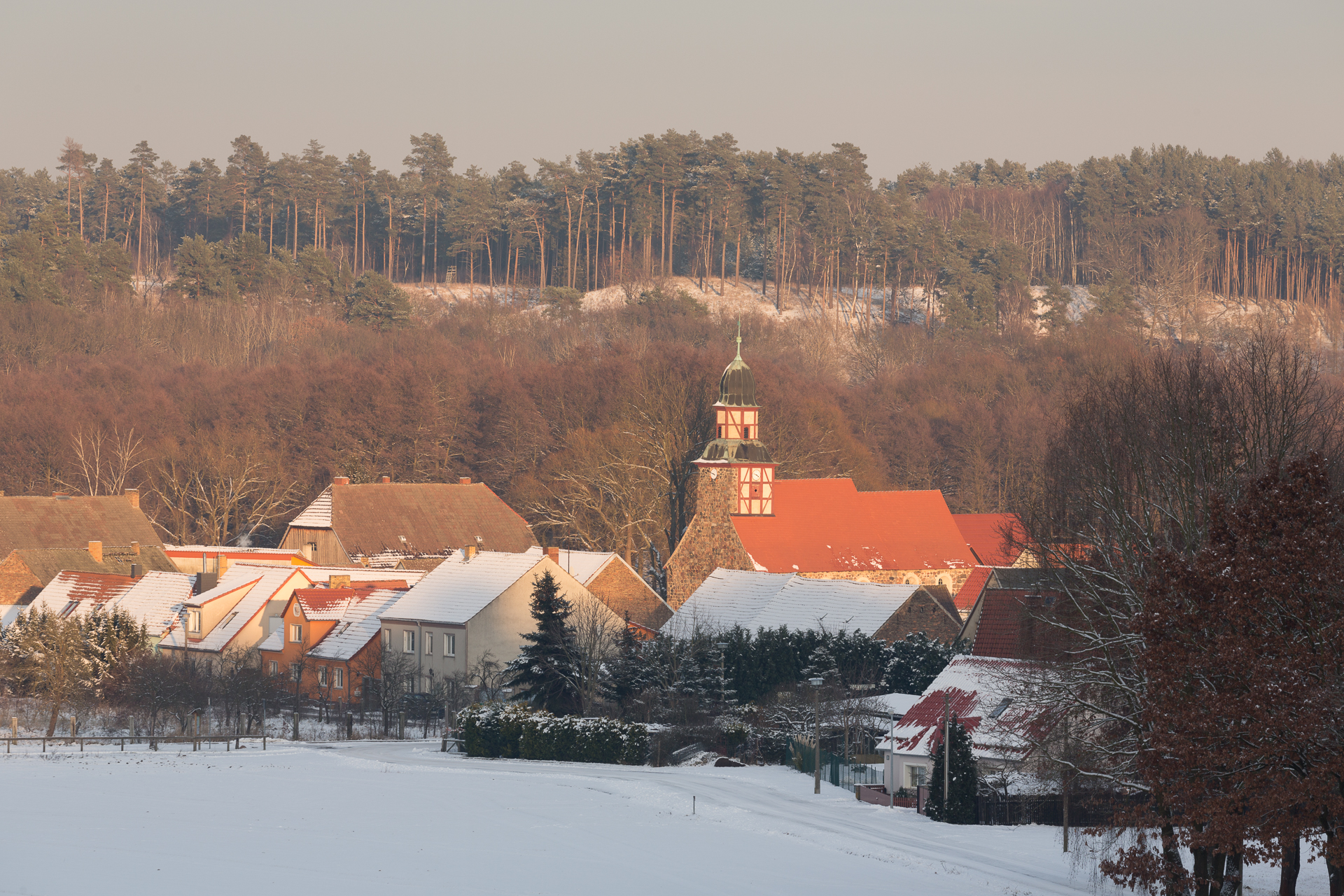 Foto: Bansen/Wittig, Lizenz: Naturparkverein Hoher Fläming e.V.