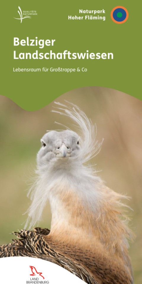 Titel Faltblatt Belziger Landschaftswiesen
