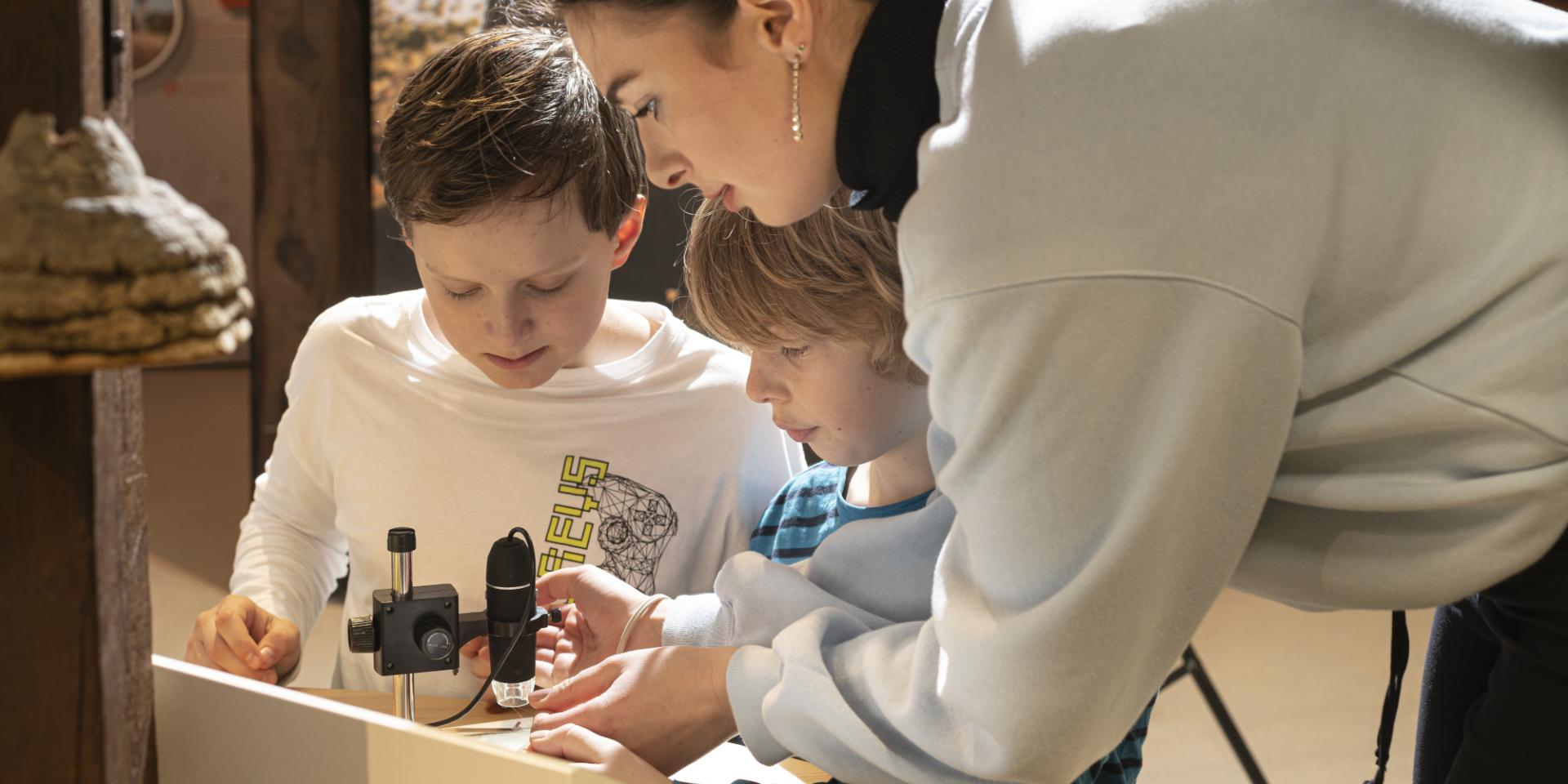 Bildungsangebote für Gruppen