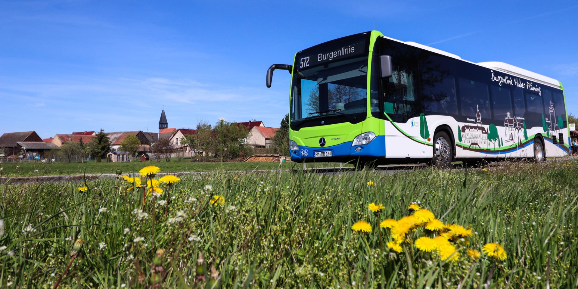 Bus fährt an blühendem Löwenzahn vor einem Dorf mit Kirchturm vorbei