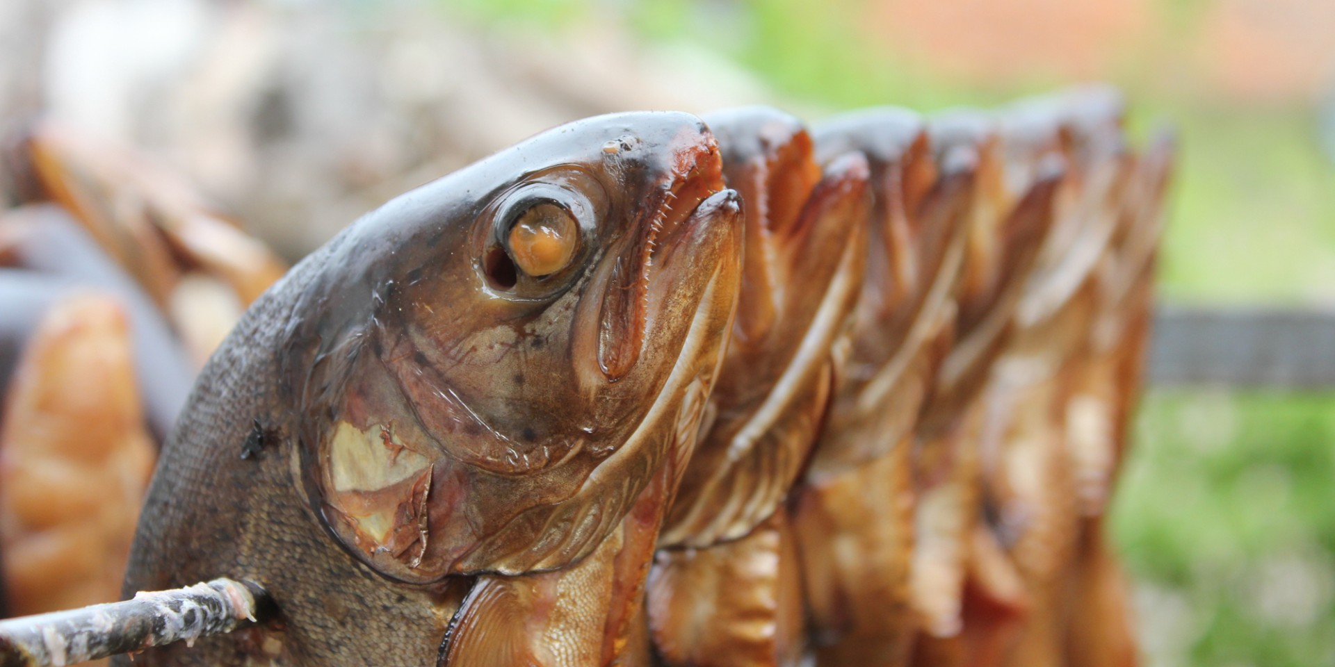 Hintereinander auf einem Stab aufgereihte Räucherforellen