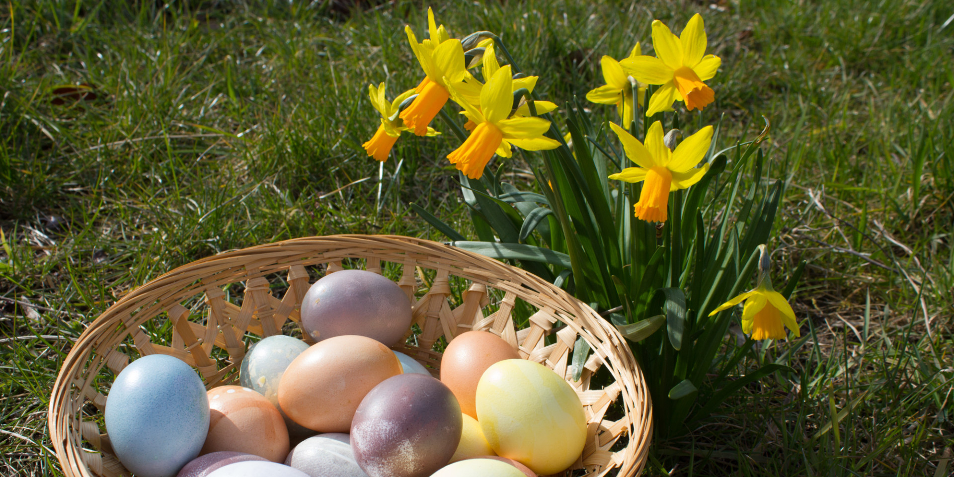 Körbchen mit pastellfarbenen Ostereiern neben blühender Narzisse