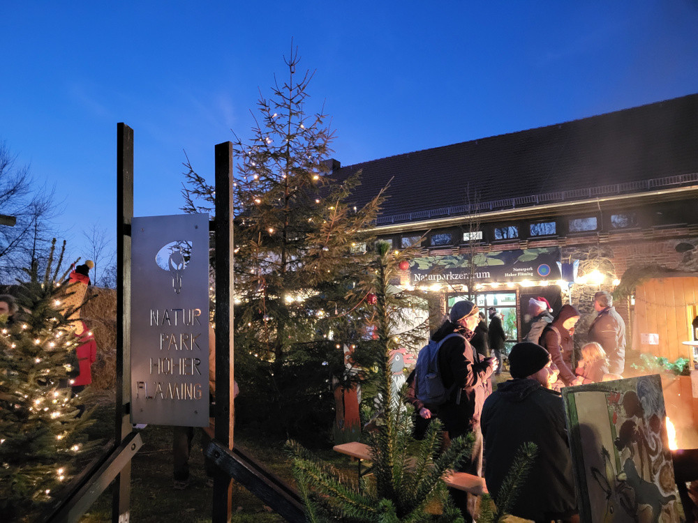 Menschen mit beleuchtetem Weihnachtsbaum