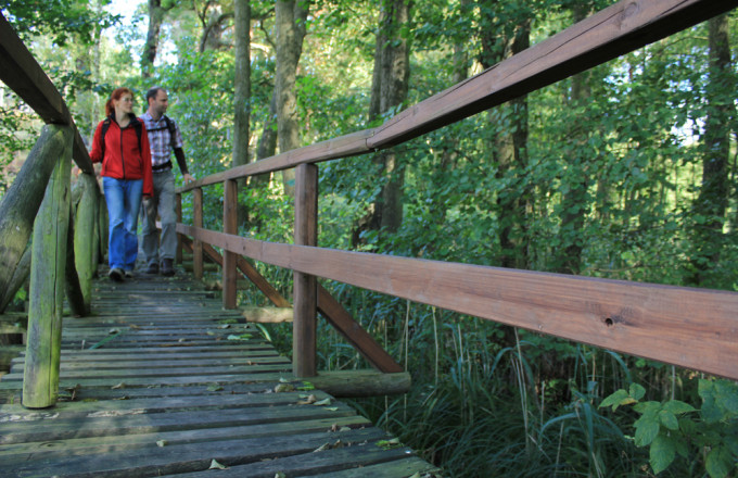 Wandern über Bohlensteg im Planetal