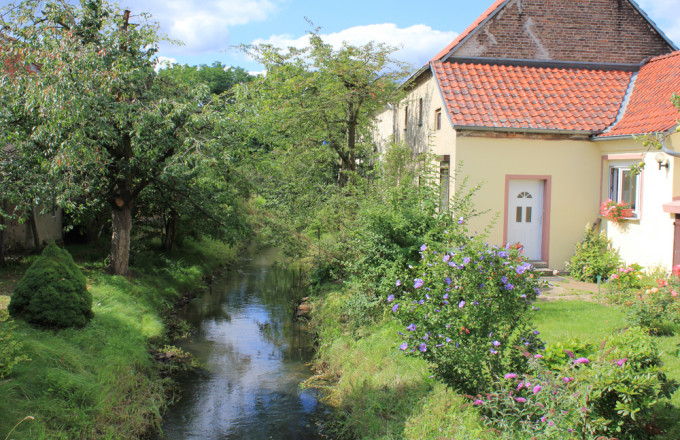 Das Fließ Buckau in Bücknitz