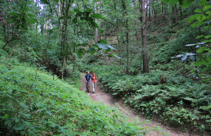 Wandern durch die Neuendorfer Rummel