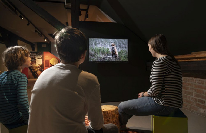 Einstimmungsfilm in der Naturparkausstellung