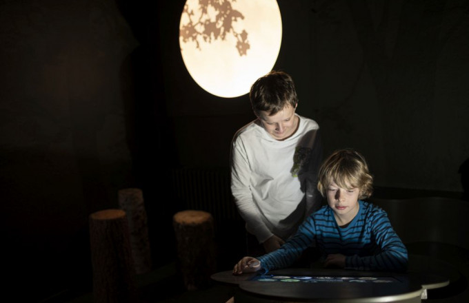 Nachtraum in der Naturparkausstellung