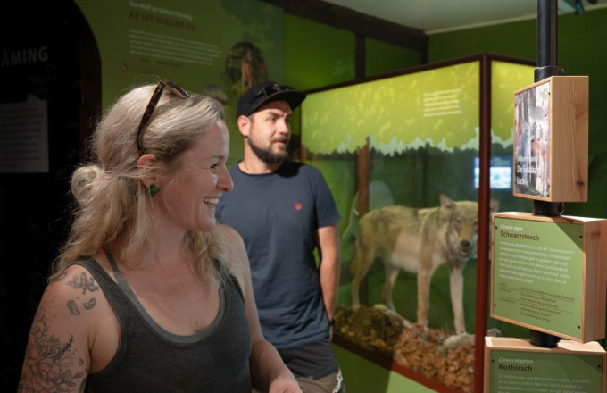 Wilde Tiere in der Naturparkausstellung