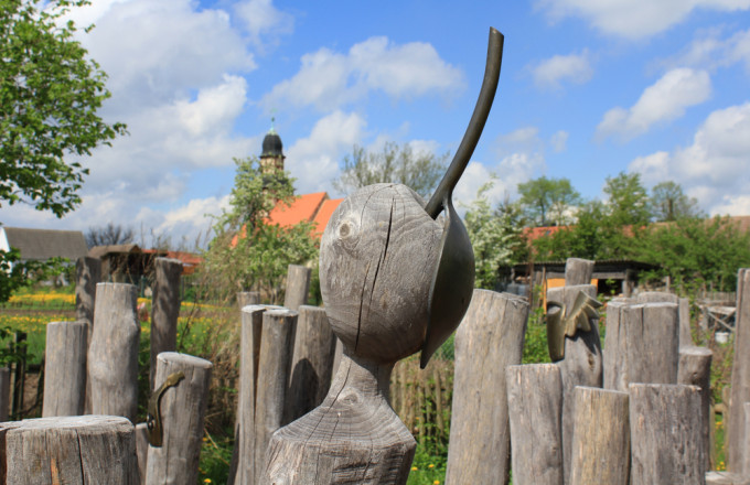 Holzapfel auf einem von mehreren Robinienstämmen mit Blick auf die Feldsteinkirche von Raben