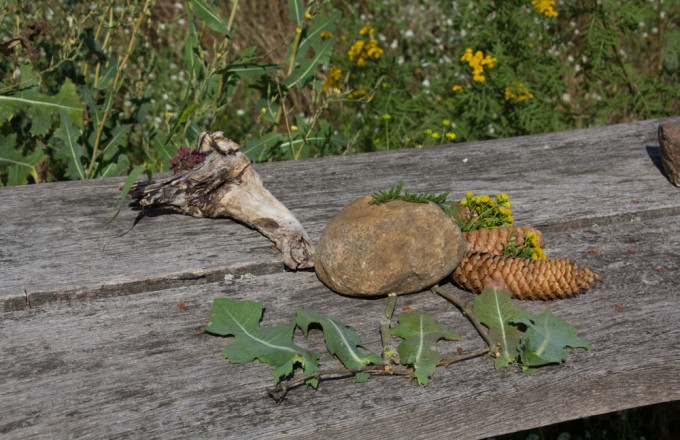 Naturmaterialien wie Blätter, Blüten, Stöcker, Fichtenzapfen und ein Stein sind zu einem Kunstwerk auf einem Holztisch arrangiert