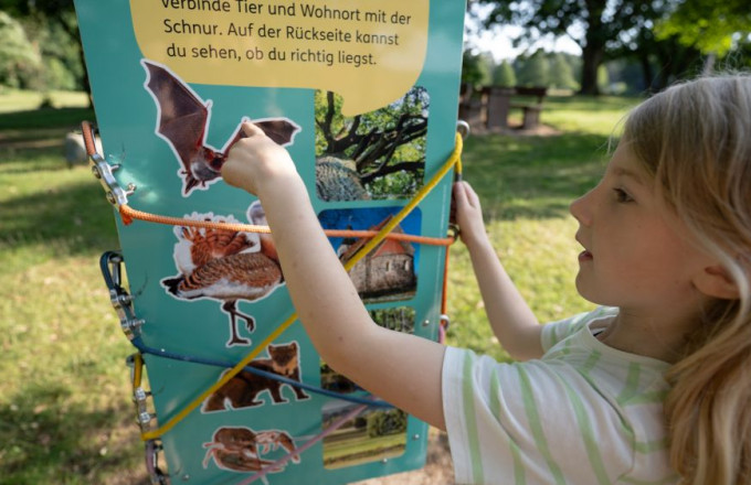 Bandolino auf dem Spielplatz