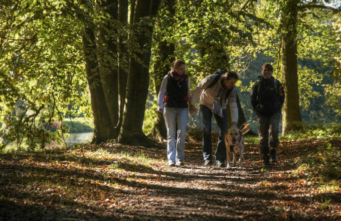 Im Waldteil des Schlossparks Wiesenburg