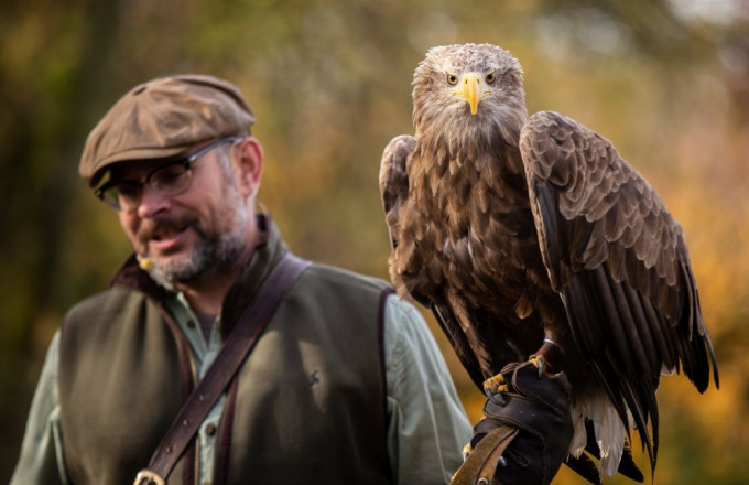 Ein Mann mit Ledermütze und Lederweste hält einen braunen Greifvogel auf seinem Arm