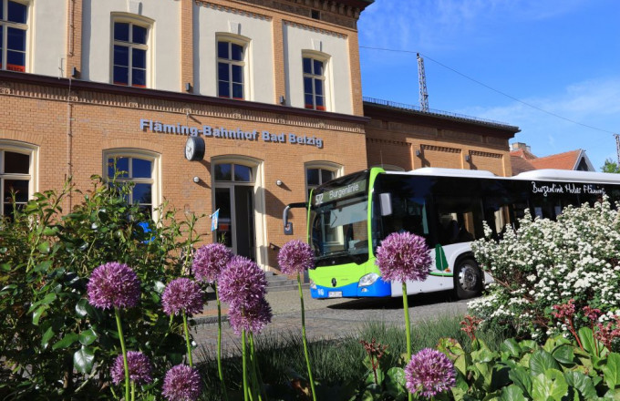 Blick durch lila blühenden Zierlauch auf den Burgenbus, der vor dem gelben Klinkergebäude des Fläming-Bahnhofs steht