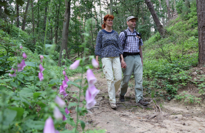 Ein Paar wander durch ein Waldtal mit pink blühendem Fingerhut
