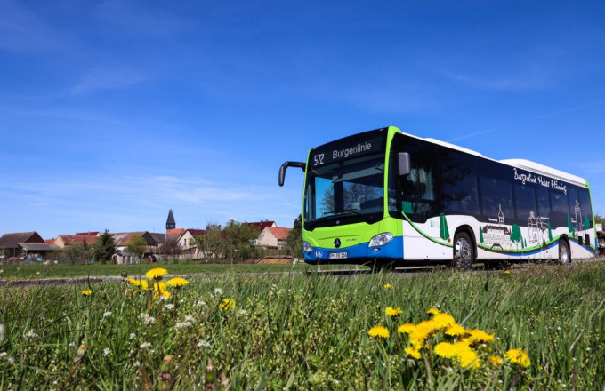 Bus fährt an blühendem Löwenzahn vor einem Dorf mit Kirchturm vorbei