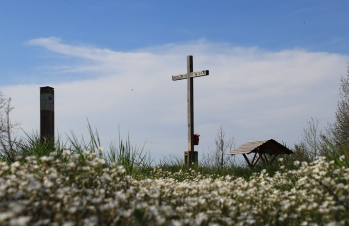 Blick über weiß blühende Sternmiere auf das Holz-Gipfelkreuz auf dem Hagelberg
