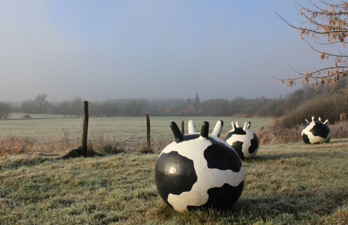 Schwarz-weiß-gefleckte Riesen-Kuheuter vor bereifter Winterlandschaft