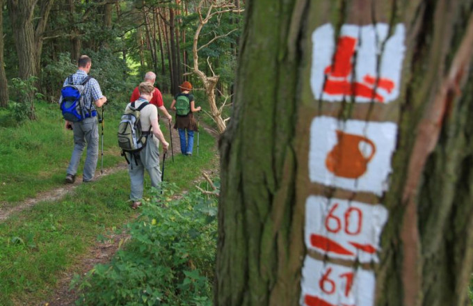 Eine Wandergruppe läuft den Berg hinab, im Vordergrund ist ein Baumstamm mit Wanderwegmarkierungen