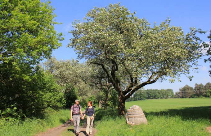 Ein Paar wandert am Kunstwerk Steinschlange vorbei