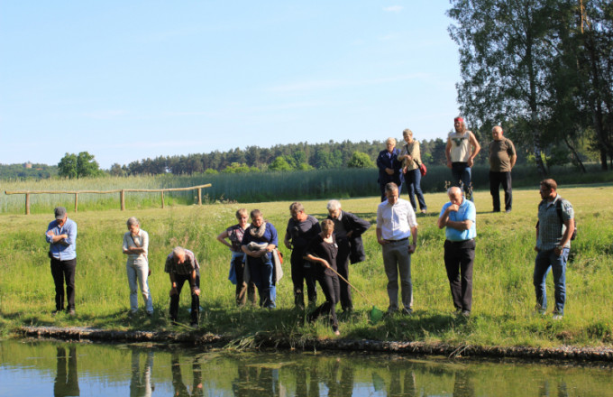 Eine Gruppe schaut in der Wasser der Alten Badeanstalt von Raben