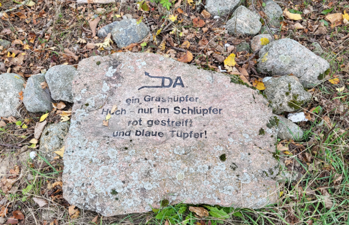 Auf einem Feldstein steht: Da ein Grashüpfer Huch - nur im Schlüpfer rot gestreift und blaue Tupfer!