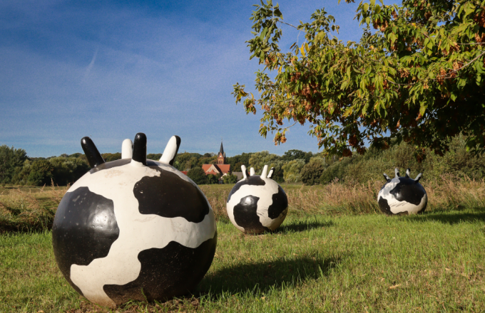 Zwischen schwarz-weiß gefleckten Riesen-Kuheutern ist im Hintergrund eine Kirche zu sehen