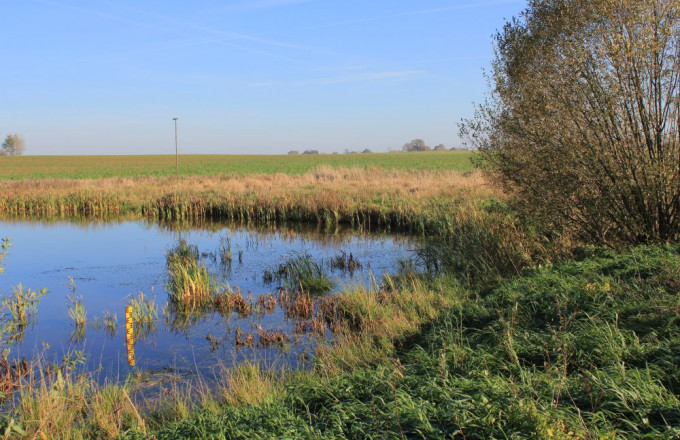 Wasserfläche von Grün umrahmt mit gelb-schwarzem Wasserstandpegel