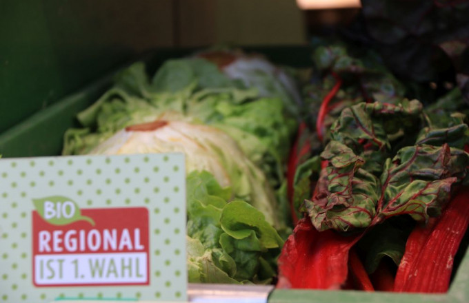 Schild Regional ist 1. Wahl vor Salat und rotstieligem Mangold