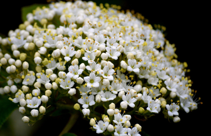 Foto: Frauke Riether from pixabay.com