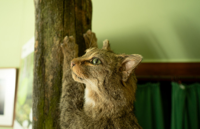 Foto: Julia Borchardt/vivografie.de, Lizenz: Naturparkverein Hoher Fläming e.V.