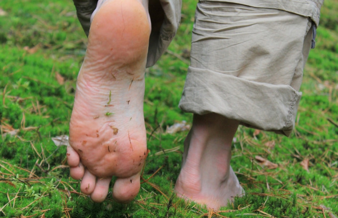 Foto: Bansen/Wittig, Lizenz: Bansen/Wittig