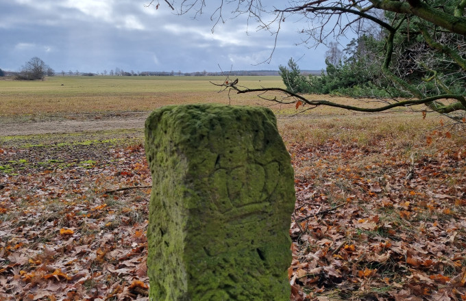 Foto: Anke Braune, Lizenz: Naturparkverwaltung Hoher Fläming