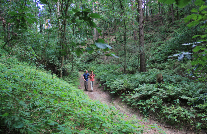 Foto: Bansen/Wittig, Lizenz: Bansen/Wittig