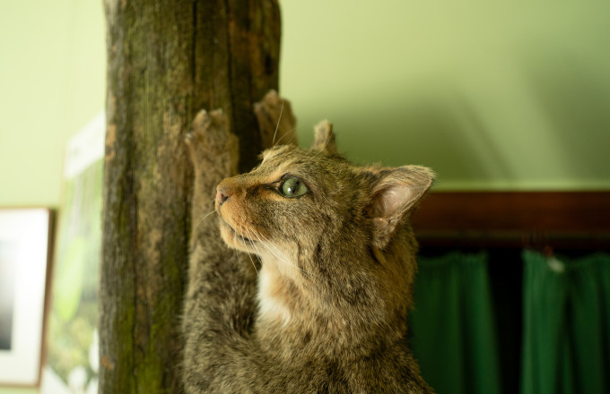 Foto: Julia Borchardt/vivografie.de, Lizenz: Naturparkverein Hoher Fläming e.V.
