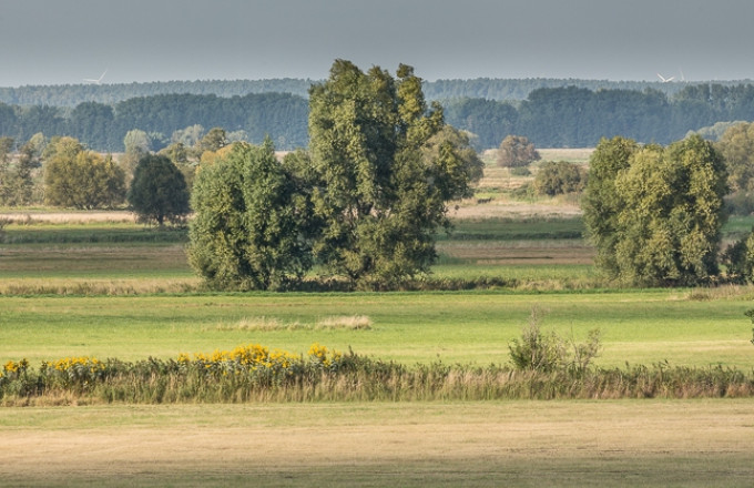 Foto: Steffen Bohl, Lizenz: Landesamt für Umwelt Brandenburg