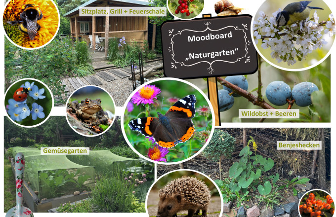 Moodboard Naturgarten, Foto: Andrea Hanschke, Lizenz: Andrea Hanschke