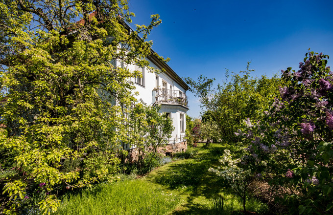 Blick in den Garten, Foto: Juergen Pittorf